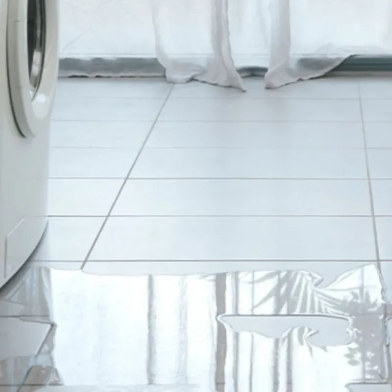 Appliance Leak Cleanup in West Modesto, CA